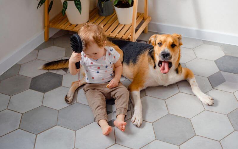 Young child playing with a dog on a clean kitchen floor in an Irish home cleaned with eco-friendly products